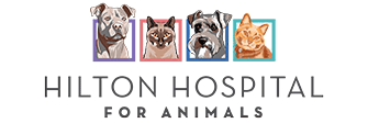 Link to Homepage of Hilton Hospital for Animals